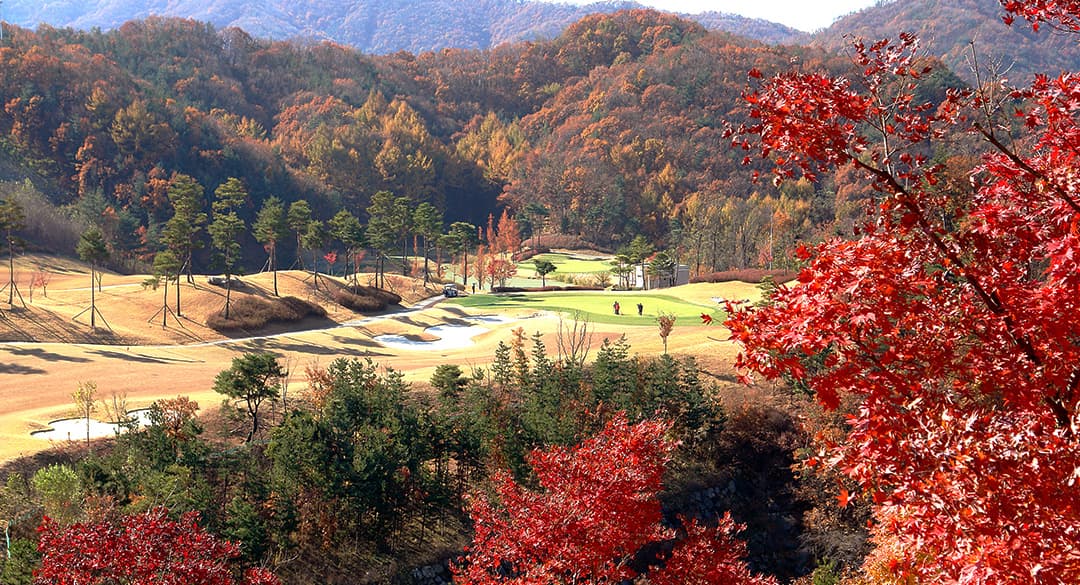 소피아그린 사진