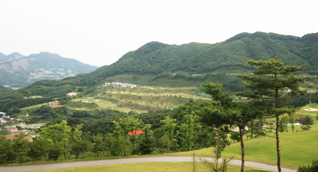 모카(구.세일) 사진