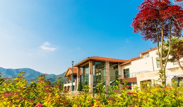 스카이뷰