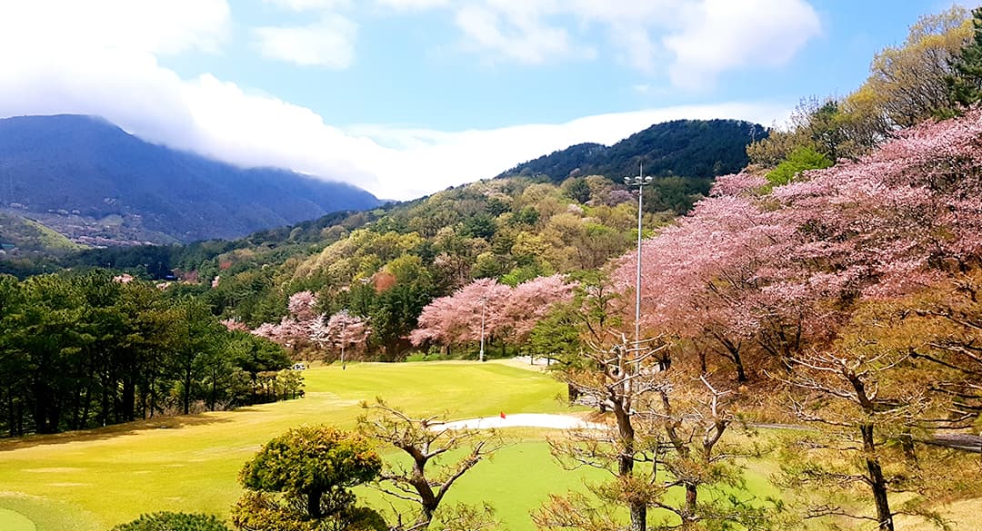 부산 사진