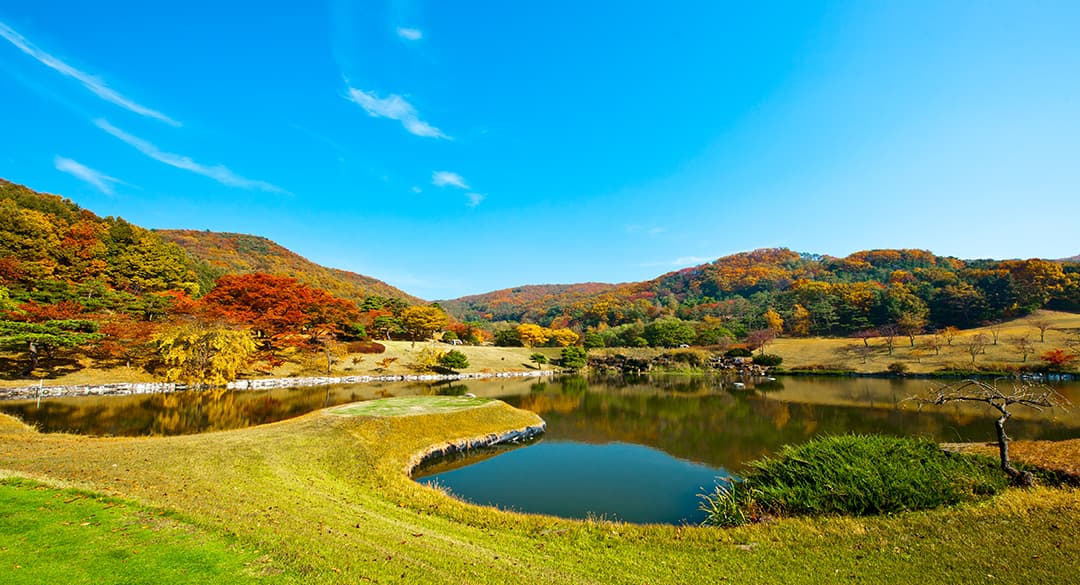 여주신라 사진