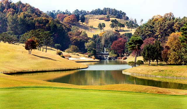은화삼