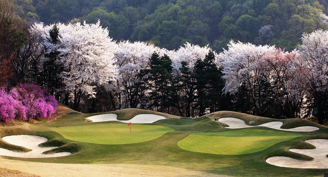 수원 사진