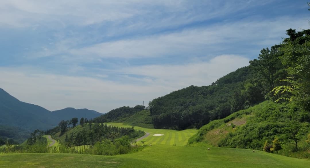 의령 리온 사진